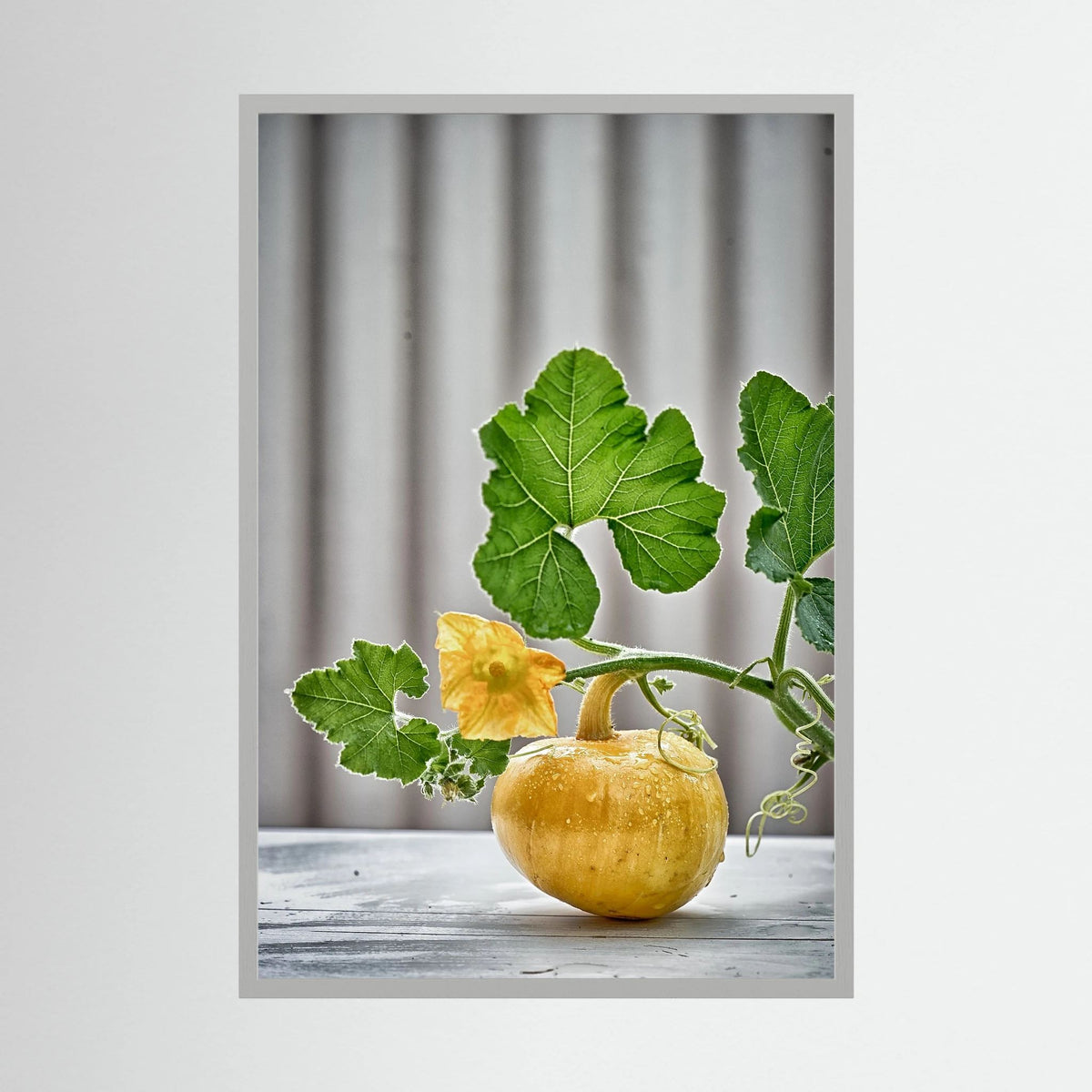 Pumpkin 